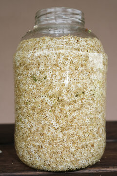 making elderflowers syrup