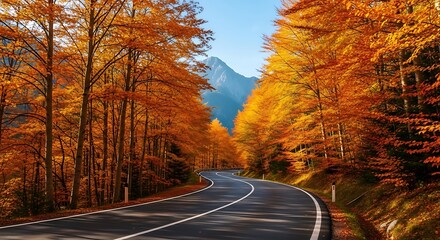 Scenic autumn road winding through a forest with vibrant orange and yellow foliage