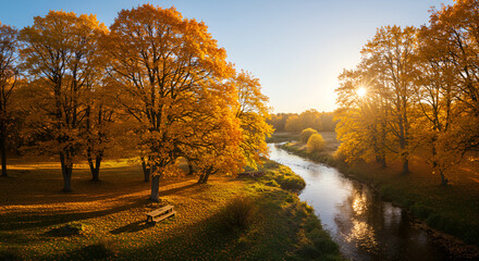 A dense autumn forest with golden sunlight streaming through the trees, creating a warm and serene atmosphere among the fallen leaves.