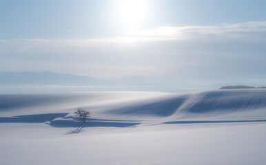 A sculptural snowscape created by the light and shadow of the winter hills