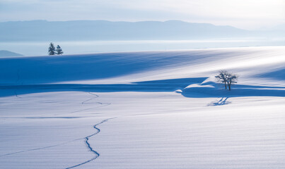 A sculptural snowscape created by the light and shadow of the winter hills