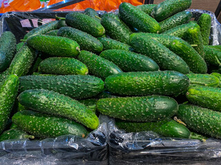 Lots of green cucumbers on the counte in the market. Food background. Vegetables harvest. Sale in the market. Cucumbers top view.