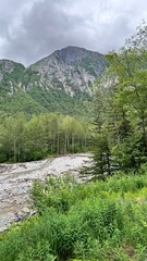 Mountain river flowing through forest with rocky riverbed and lush greenery