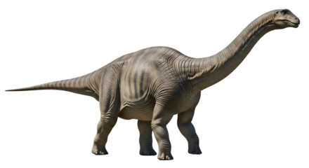 Massive sauropod dinosaur a prehistoric giant on white