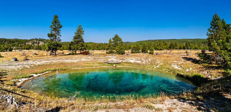 Clear turquoise water of a hot spring at the Fairy Falls Trailhead in Yellowstone National Park. The pool is surrounded by dry grass and a pine forest