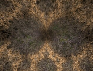 Imaginatory fractal abstract background Image