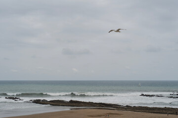 Weite Küstenlandschaft mit Sandstrand, Felsen, Wellen, einer fliegenden Möwe am Horizont unter bewölktem Himmel, keine Menschen am Strand.