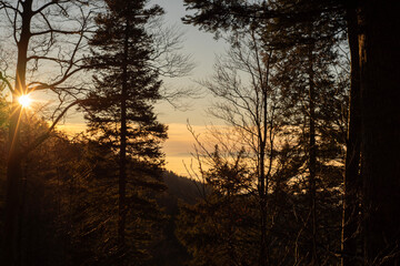 Die Sonne steht tief am Himmel und scheint durch die Silhouetten von B&auml;umen im Wald. Die Szene ist warm, ruhig und zeigt einen stimmungsvollen Sonnenuntergang mit goldenen Lichtstrahlen.