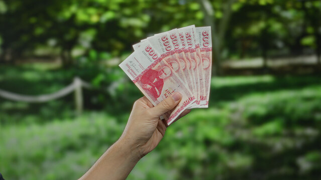 Hand holding red banknotes in an outdoor park, displaying serbian currency against a lush green background, suggesting finance and economic themes in a natural setting.