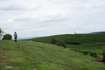Radfahrerin auf Wiese vor Weinbergen unter bew&ouml;lktem Himmel im Sommer