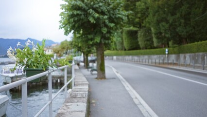 Waterfront promenade in shallow bokeh with blurred railing and tree lined street; background backplate copyspace calm.