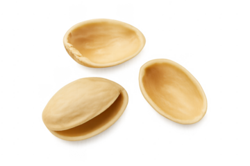 Pistachio shells with empty open nut husks