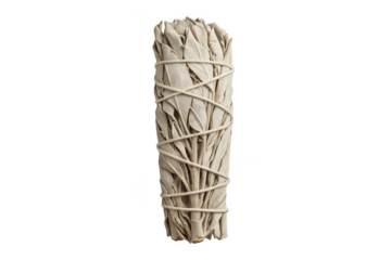 White sage smudge stick for purification ritual