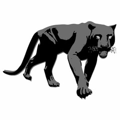 Black cat walking in side profile with stylized body and bold silhouette.