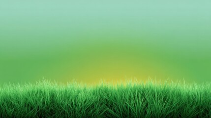 Fototapeta premium Lush Green Grass Field Under a Soft Gradient Sky at Sunrise, Nature Background for Scenic and Relaxing Imagery, Perfect for Design Projects and Illustrations