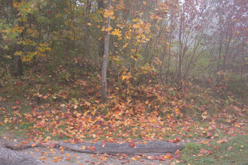 Mem&oacute;ria e Hist&oacute;ria que Nunca Pode Ser Esquecida