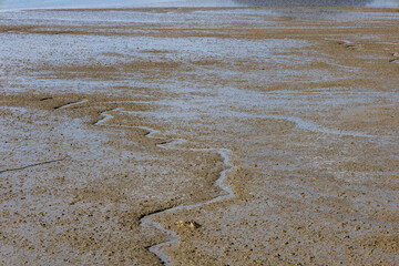 mud flat sand on the beach