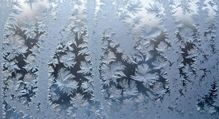 Close-up photograph of intricate, fern-like crystalline patterns of frost (ice crystals) forming on a window pane during cold weather.