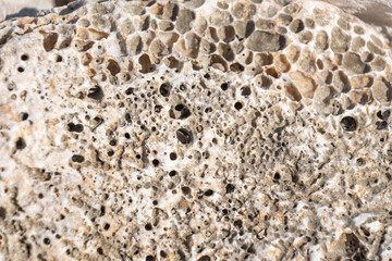 Close-up of porous weathered rock surface with unique texture