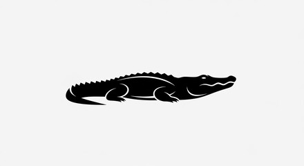 Naklejka premium Silhouette of a crocodile isolated on white