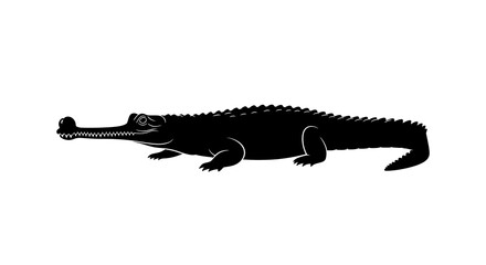 Fototapeta premium Silhouette of a crocodile reptile against a white background