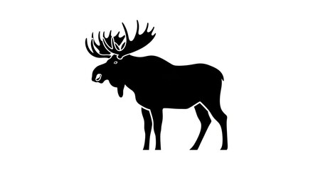 Obraz premium Silhouette of a moose with large antlers on white background