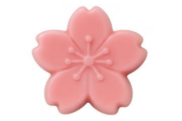 Pink cherry blossom flower isolated on transparent background