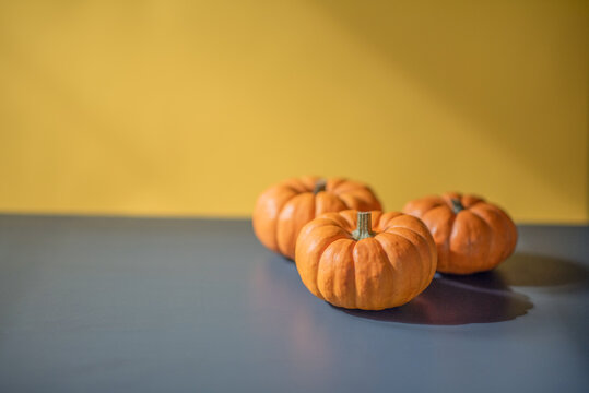 Striking color block minimalist still life featuring three bright orange pumpkins against an orange wall and navy blue surface. Vibrant high-contrast and ample copy space for autumn marketing