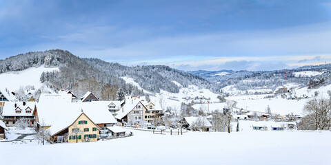 Winter wonderland in Aeugst am Albis Switzerland, picturesque snowy forest near Zurich