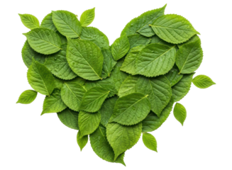 Green leaves arranged into a vibrant heart shape, symbolizing nature and love.