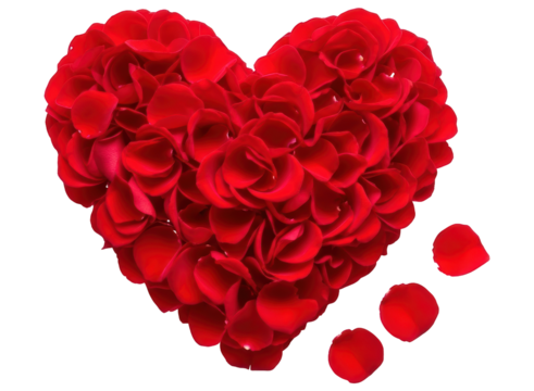 Vibrant red rose petal heart symbolizing love romance and passion