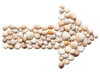 Coastal arrow design crafted from natural seashells, perfect for beach themes