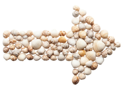 Coastal arrow design crafted from natural seashells, perfect for beach themes