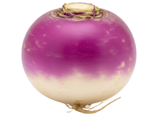 Fresh raw turnip with vibrant purple and white skin, a healthy root vegetable