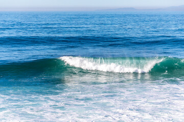 Fototapeta premium Beautiful wave crashing in the Pacific Ocean off the California coast in La Jolla