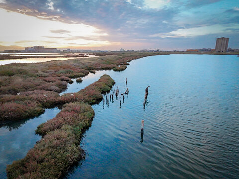 Serene Marshland at Sunset
