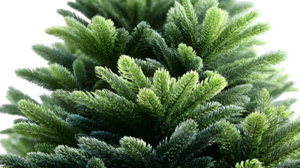 Artificial Christmas tree with deep green foliage and soft texture, realistic festive decor element for modern interiors, isolated on white background