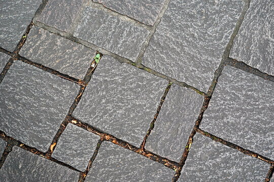 表面にざらつきのある不揃いの形をした濃い灰色の石畳のクローズアップ写真で目地にはわずかに草や落ち葉が見えます。