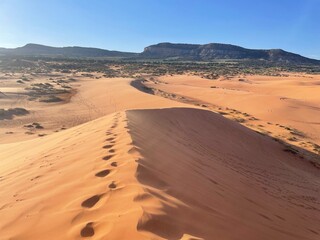 Tall sand dune in the foreground marked by a line of deep footprints along its ridge. Beyond the dune, wide open sand fields stretch toward distant rocky mesas