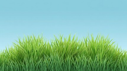 Fototapeta premium Lush Green Grass in Front of a Clear Blue Sky with Soft Gradients for Nature and Outdoor Design Concepts
