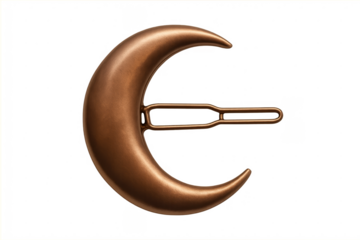 Bronze crescent moon hair clip accessory