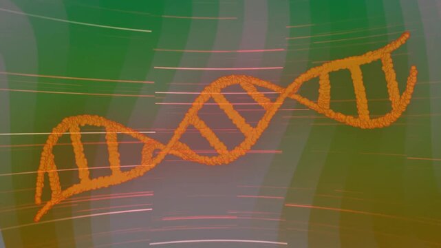 On playback orange DNA helix moving across, curving and thinning, breaking to dust showing change