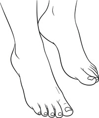 Human feet top view, anatomical foot drawing, black and white line art, medical illustration, toe detail, realistic foot sketch