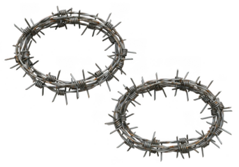 Two thorny crowns isolated on transparent background