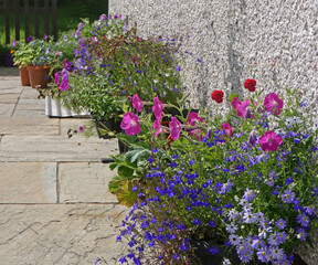 Fototapete bei efototapeten.de bestellen   