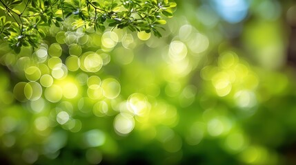 Fototapeta premium Soft Focus of Green Leaves with Sunlight Bokeh Creating a Dreamy Nature Background for Seasonal or Outdoor Designs