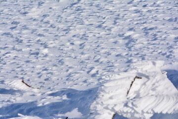 雪山の芸術的なエビのしっぽ