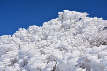 雪山の芸術的なエビのしっぽ