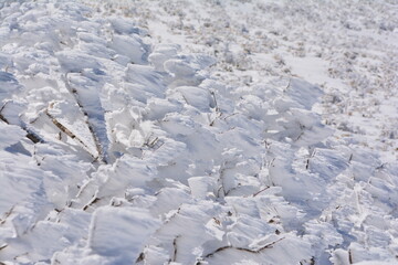 雪山の芸術的なエビのしっぽ