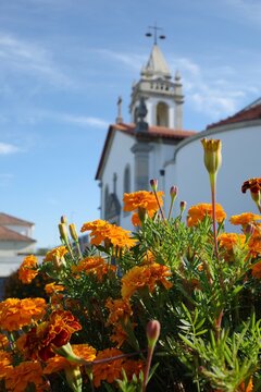 In the courtyard of the Catholic church there are flower beds with yellow marigolds